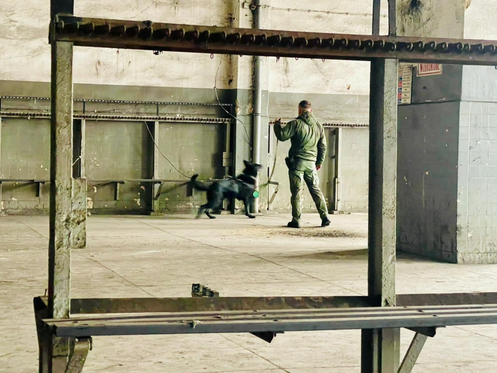 Komandosi z Lublińca szkolili innych mundurowych