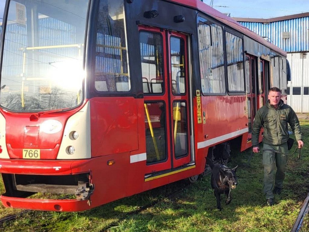 Komandosi z Lublińca szkolili innych mundurowych