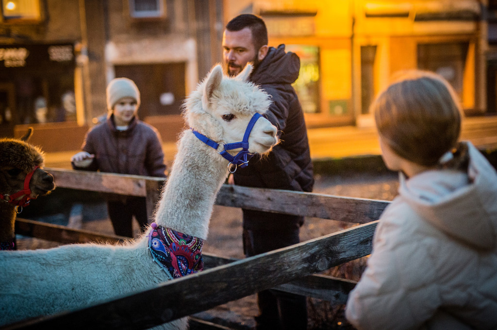 Jarmark Świąteczny i Pogotowie Mikołajkowe
