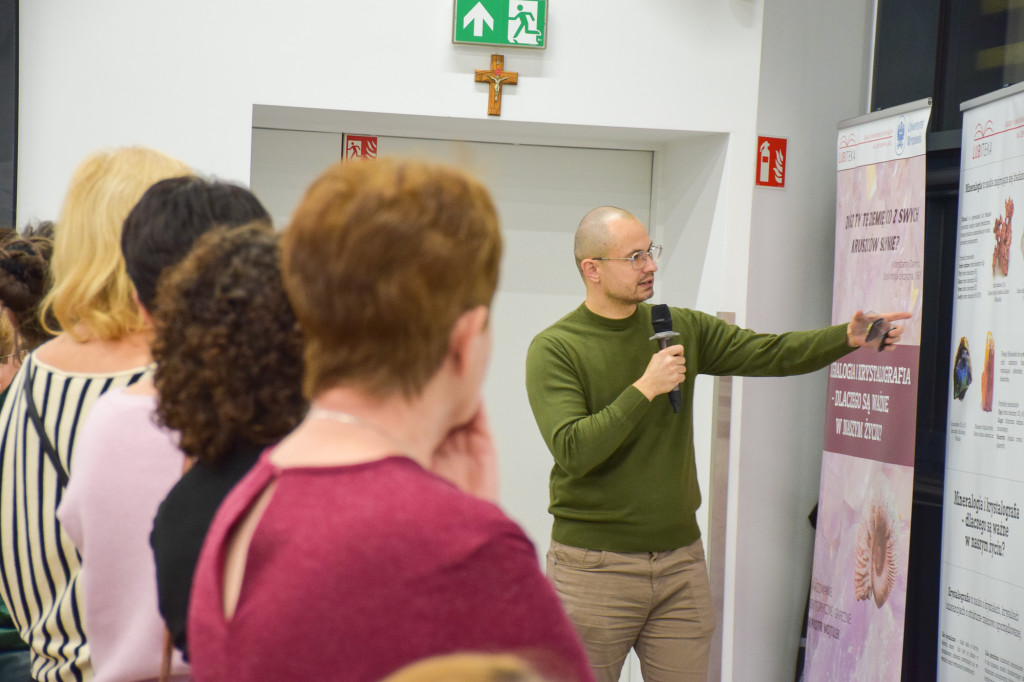 Kalcyt z Lubszy, goethyt z Bruśka, piryt z...