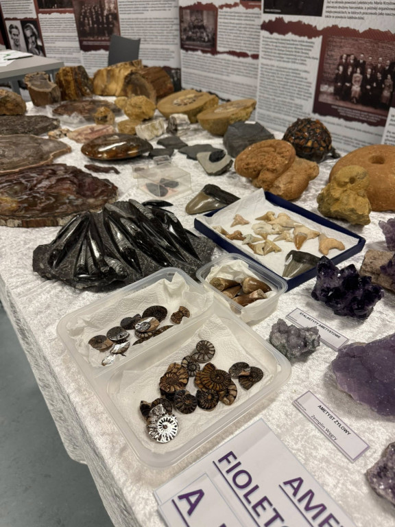 Kalcyt z Lubszy, goethyt z Bruśka, piryt z...