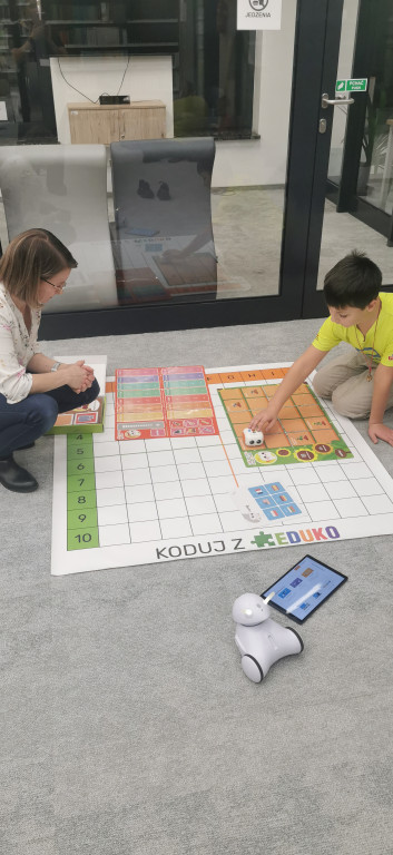 Kalcyt z Lubszy, goethyt z Bruśka, piryt z...