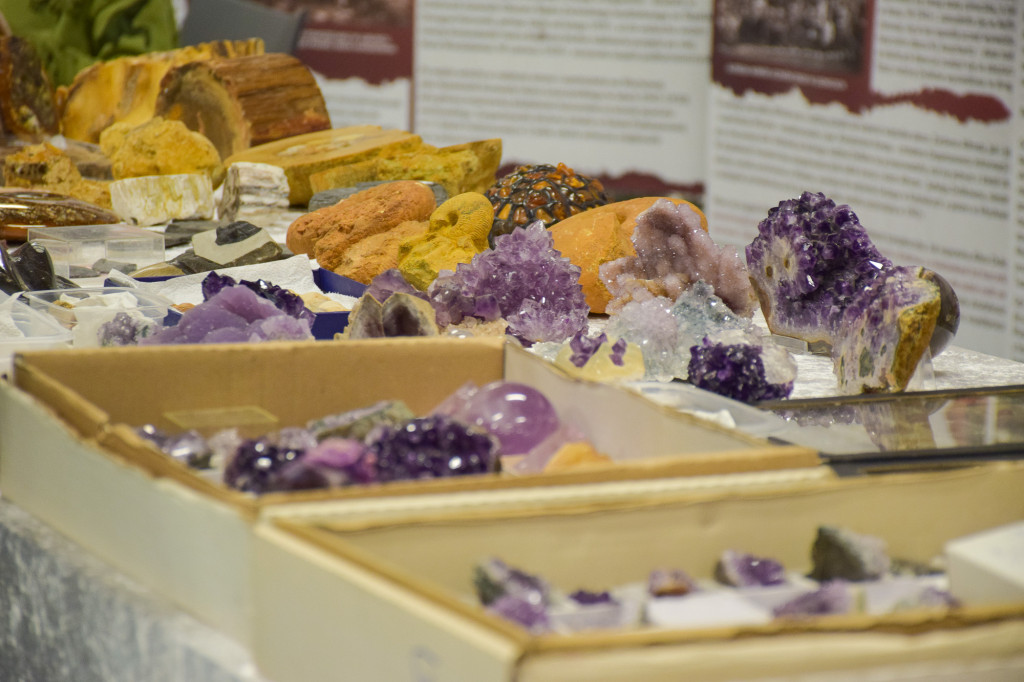 Kalcyt z Lubszy, goethyt z Bruśka, piryt z...