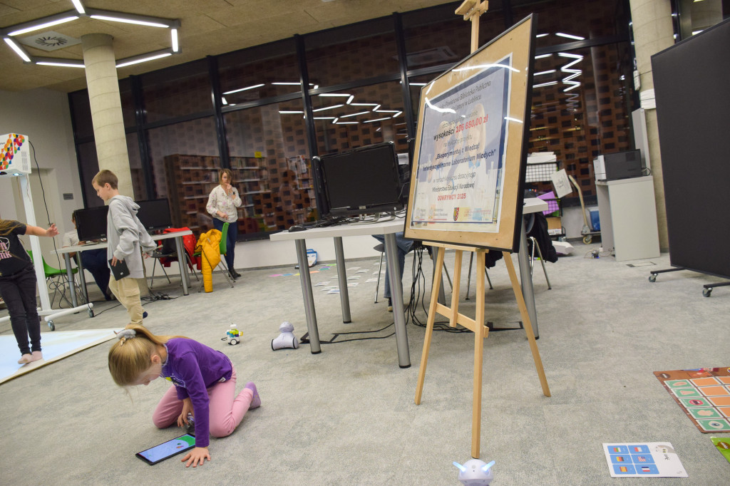 Kalcyt z Lubszy, goethyt z Bruśka, piryt z...