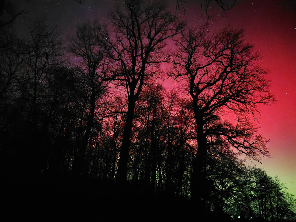 Zorza polarna nad lublinieckimi lasami