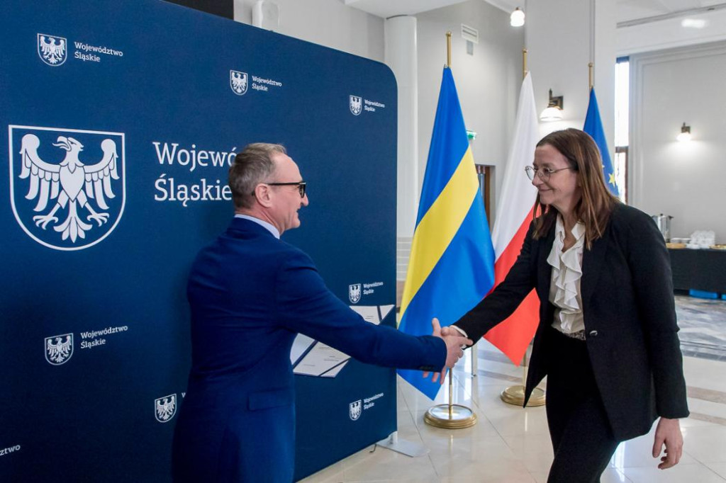 Miliony dla Koszęcina, Woźnik i Boronowa