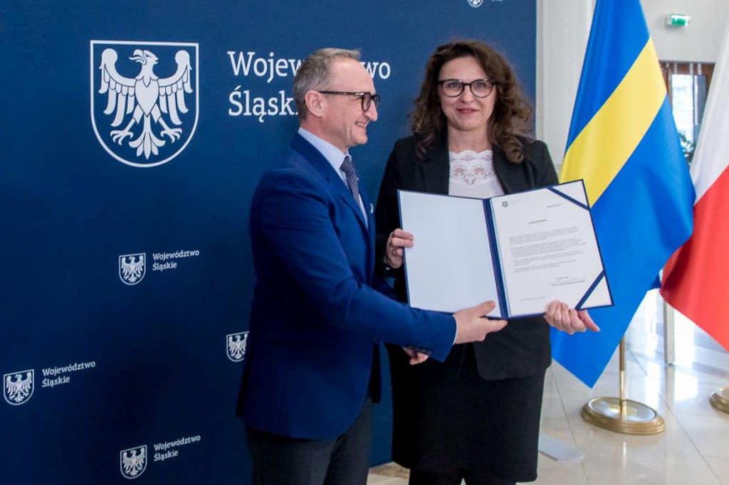 Miliony dla Koszęcina, Woźnik i Boronowa