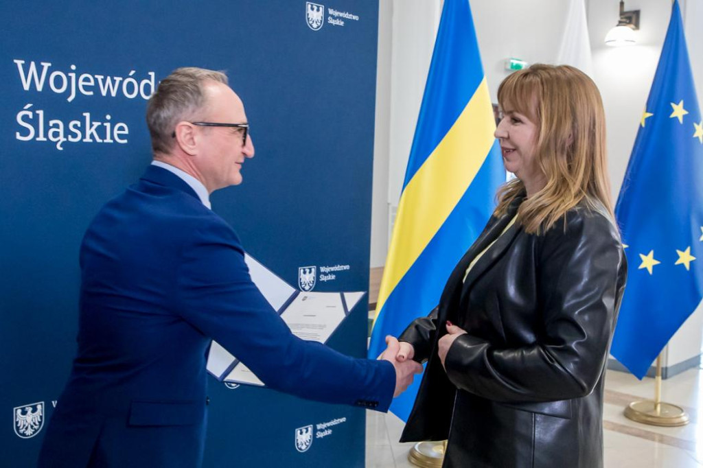 Miliony dla Koszęcina, Woźnik i Boronowa