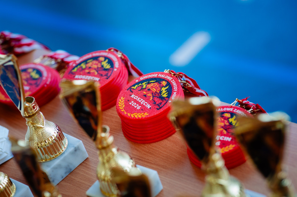 Koszęcin. Druhowie i druhny dali z siebie wszystko