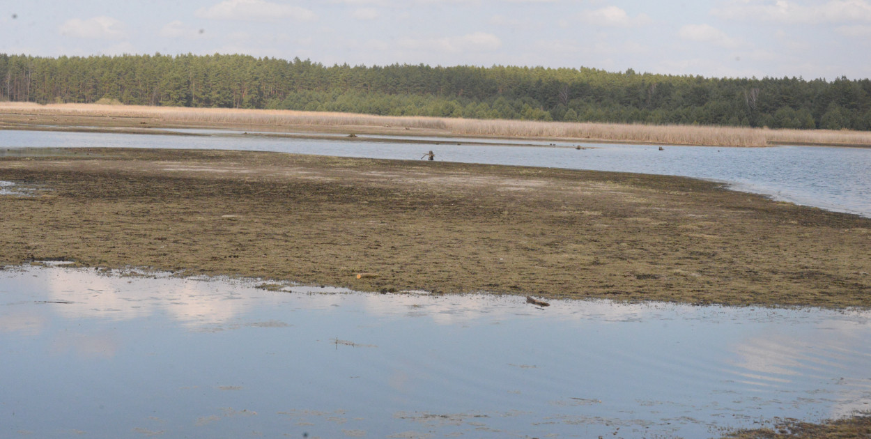 Staw Piegża wysycha