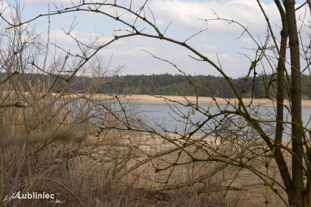 Staw Piegża wysycha