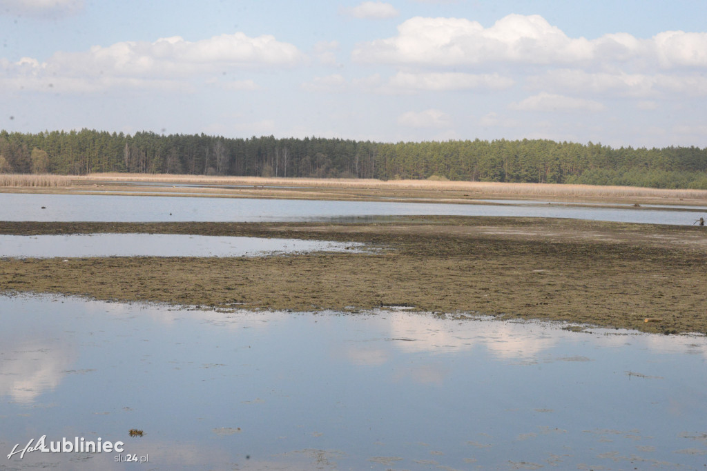 Staw Piegża wysycha