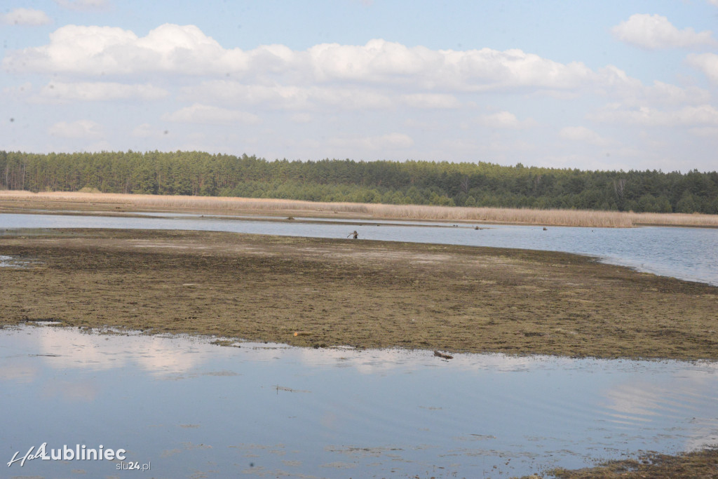 Staw Piegża wysycha