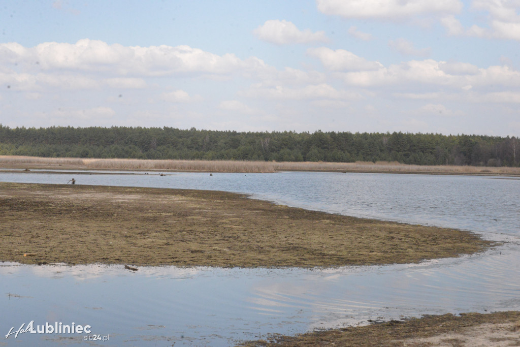 Staw Piegża wysycha