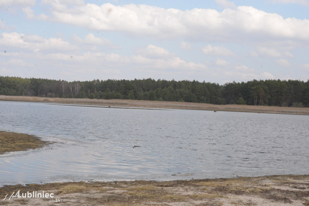 Staw Piegża wysycha