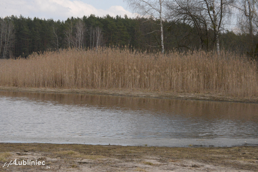 Staw Piegża wysycha