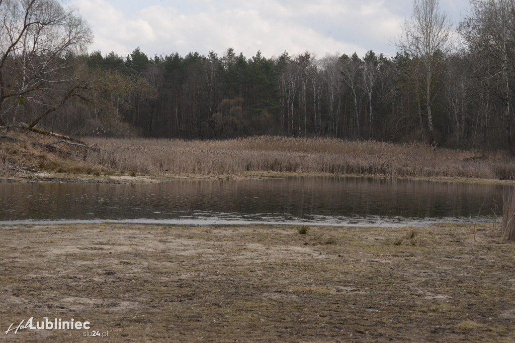 Staw Piegża wysycha
