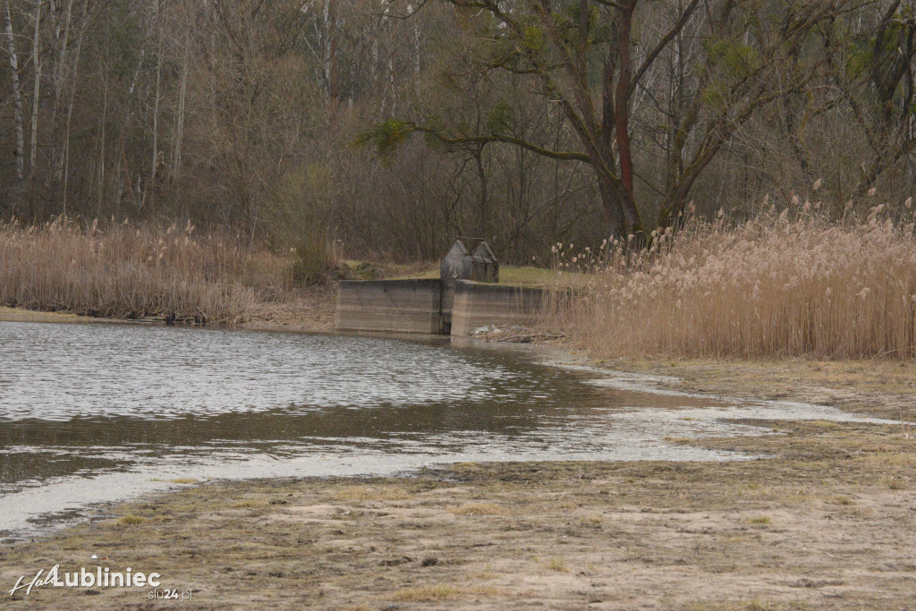 Staw Piegża wysycha
