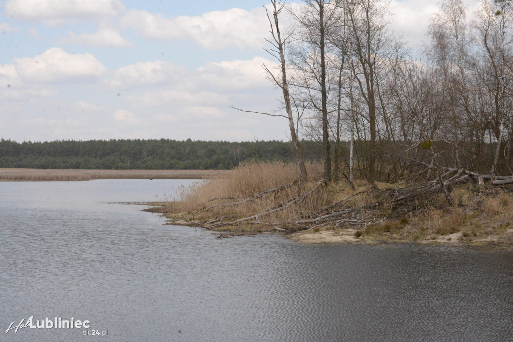 Staw Piegża wysycha