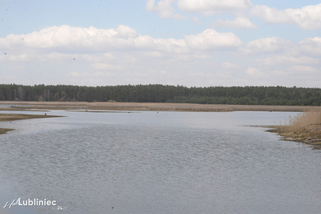 Staw Piegża wysycha