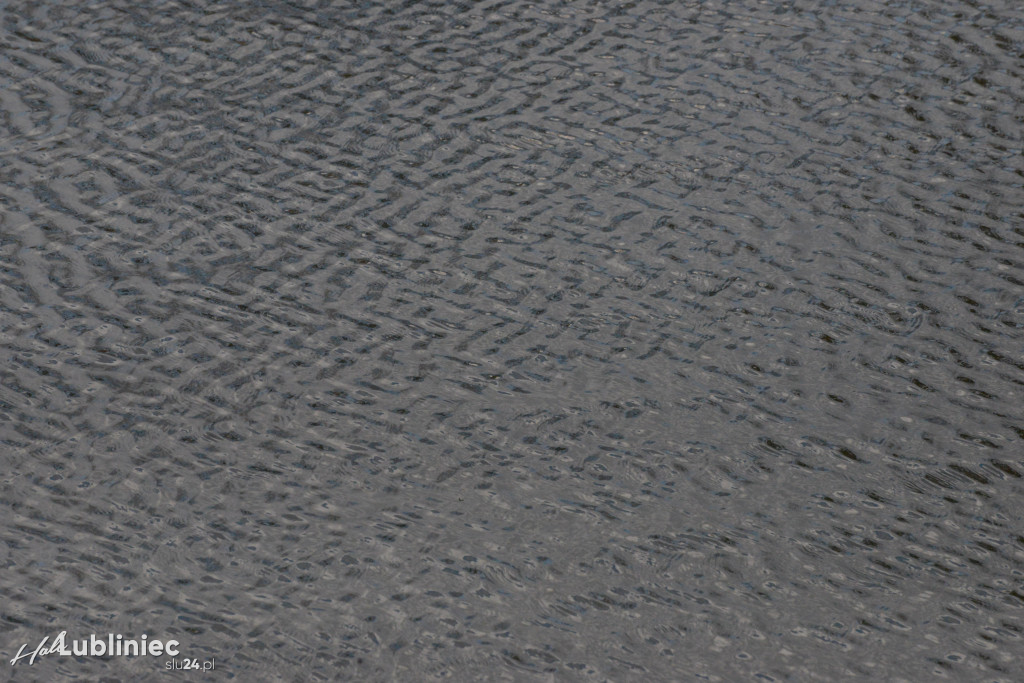 Staw Piegża wysycha