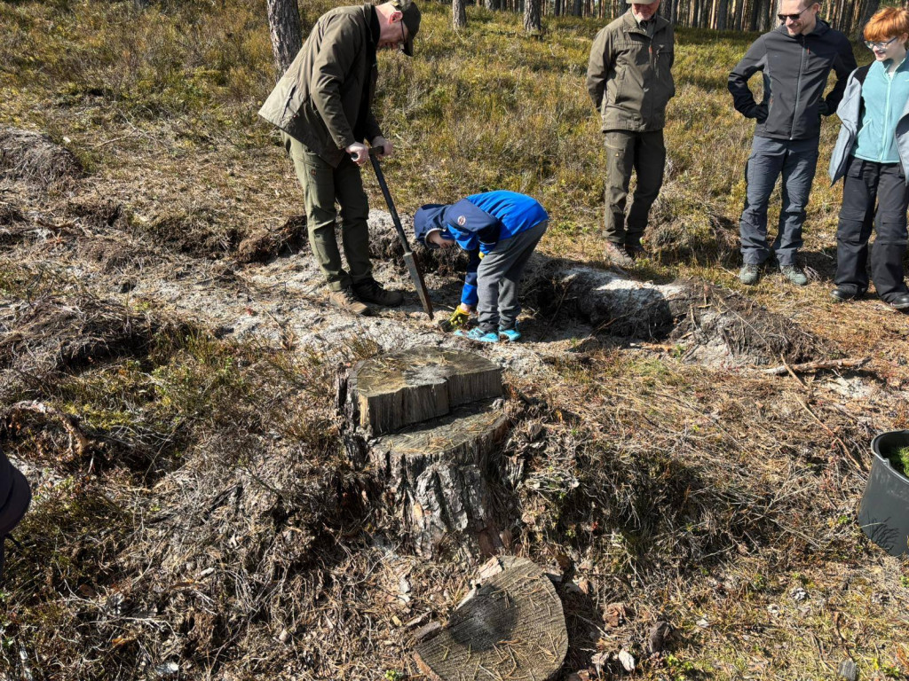 Mieszkańcy posadzili las z leśnikami w Lublińcu