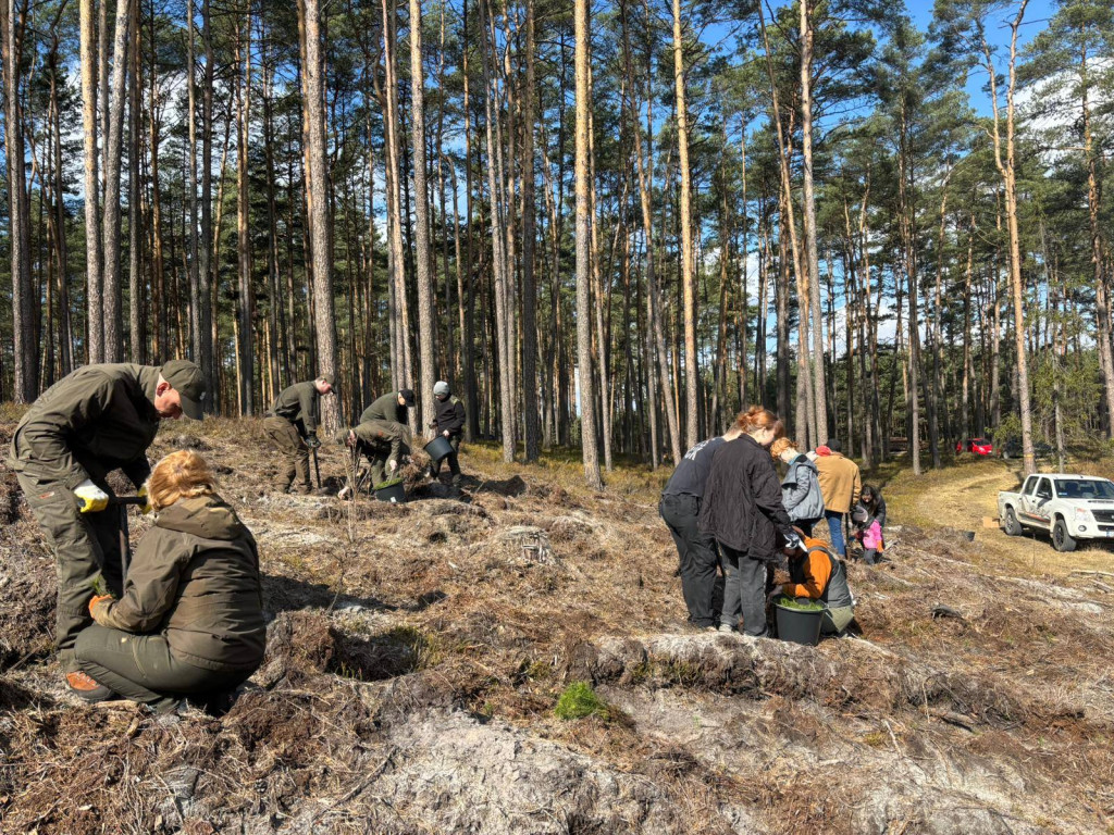 Mieszkańcy posadzili las z leśnikami w Lublińcu
