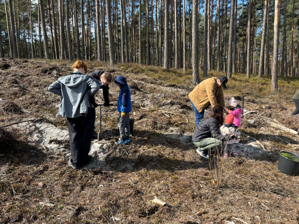 Mieszkańcy posadzili las z leśnikami w Lublińcu