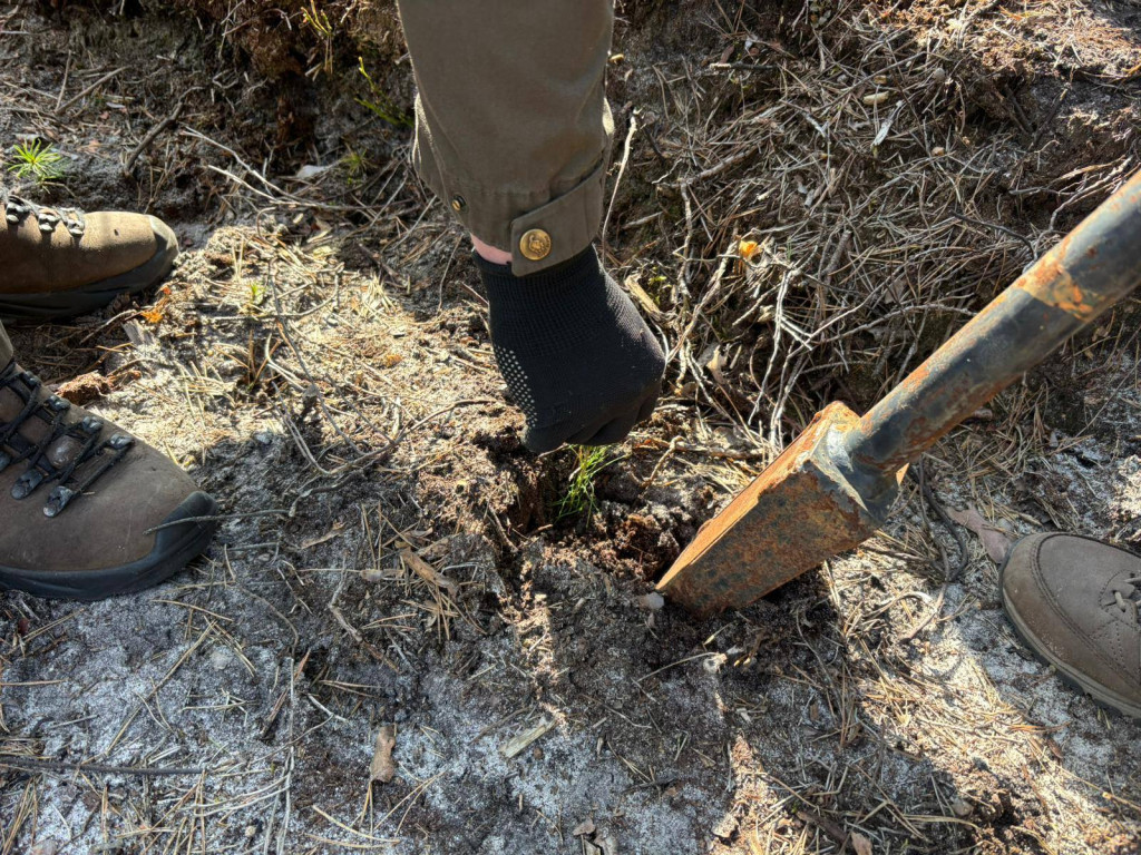 Mieszkańcy posadzili las z leśnikami w Lublińcu