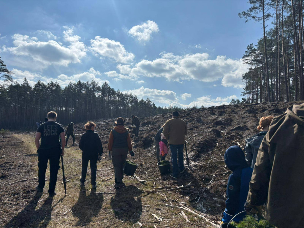 Mieszkańcy posadzili las z leśnikami w Lublińcu