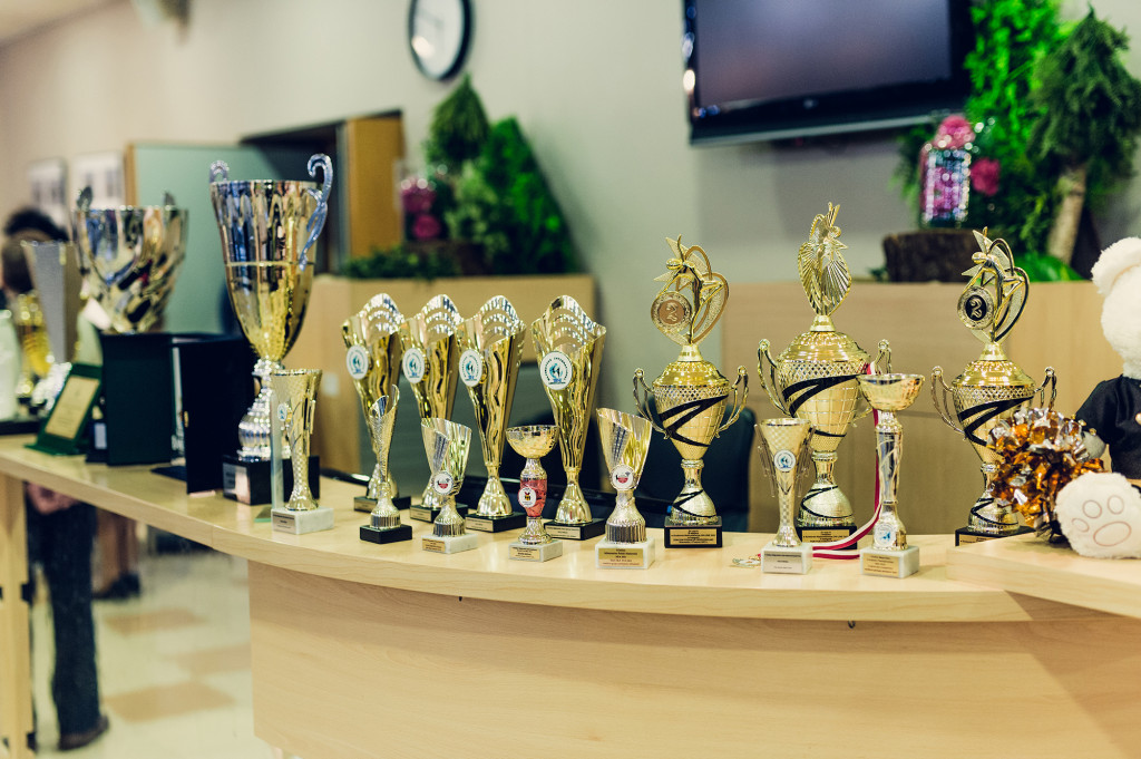 Lubliniec. Mażoretki Szafir na scenie