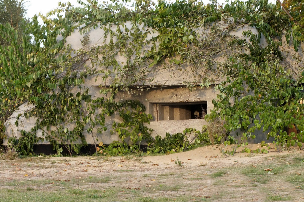 Lubliniec. Bezpłatny pokaz filmu
