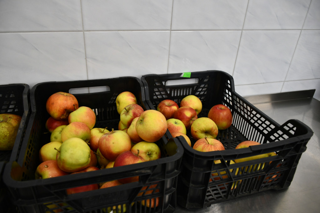 Jabłka w roli głównej. Nasi w konkursie