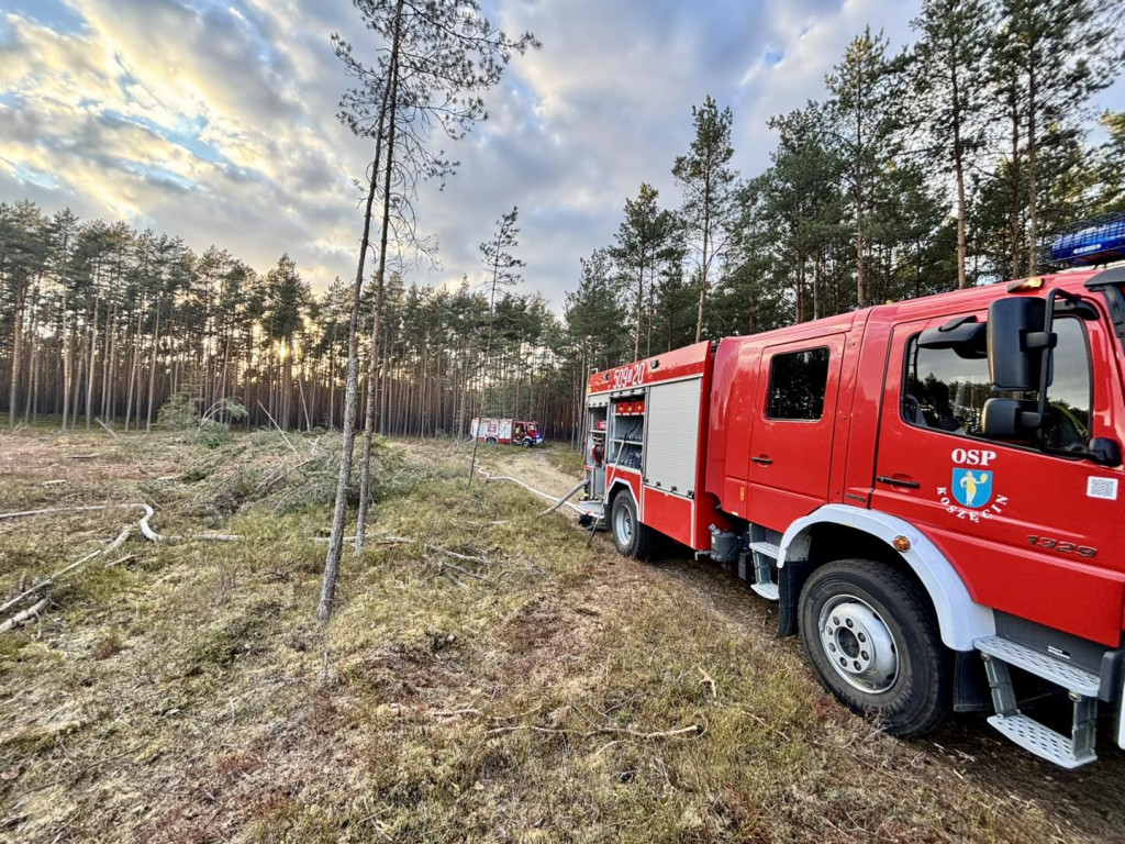 Pożar lasu. W akcji także śmigłowiec gaśniczy