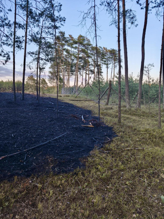 Pożar lasu. W akcji także śmigłowiec gaśniczy