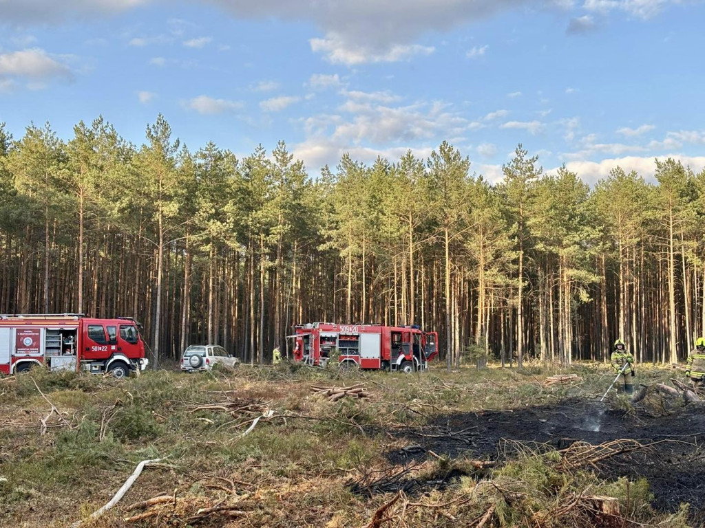 Pożar lasu. W akcji także śmigłowiec gaśniczy