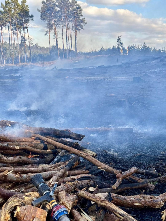 Pożar lasu. W akcji także śmigłowiec gaśniczy