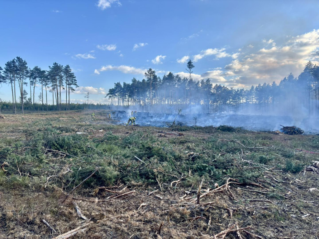Pożar lasu. W akcji także śmigłowiec gaśniczy