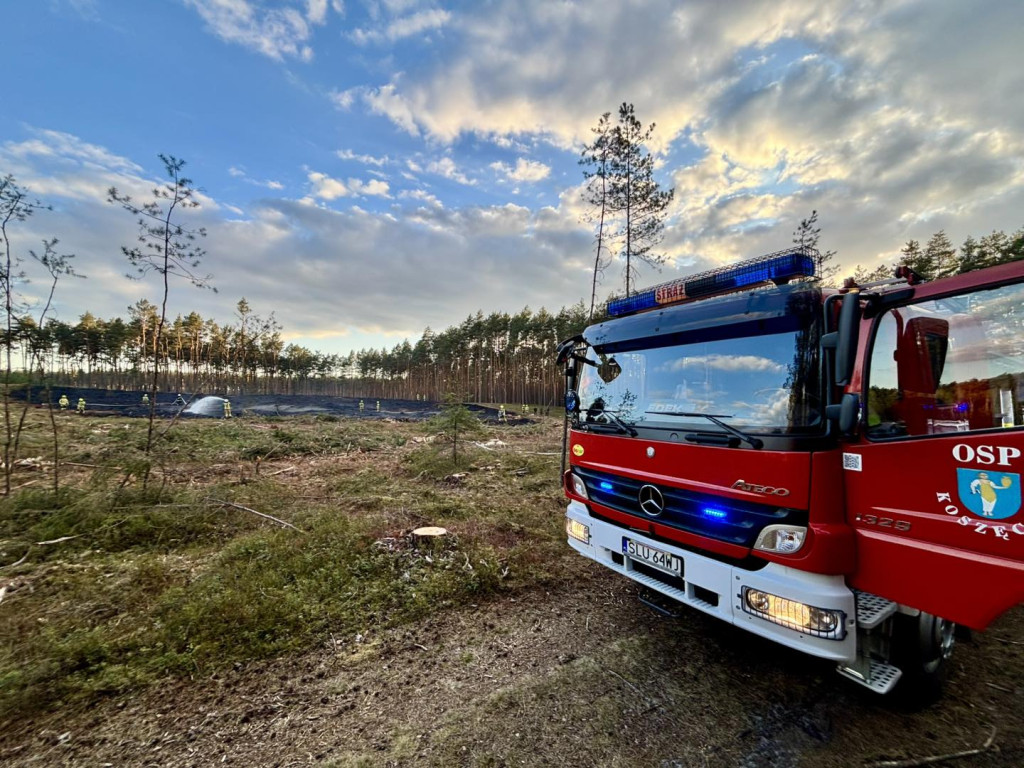 Pożar lasu. W akcji także śmigłowiec gaśniczy