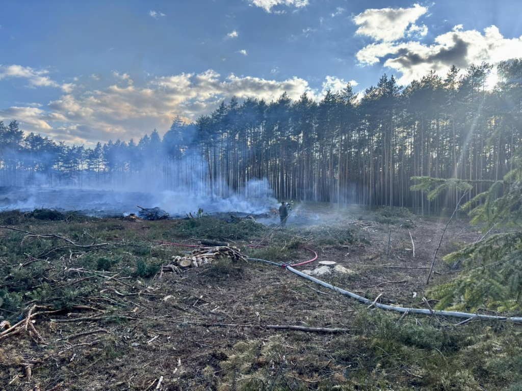 Pożar lasu. W akcji także śmigłowiec gaśniczy