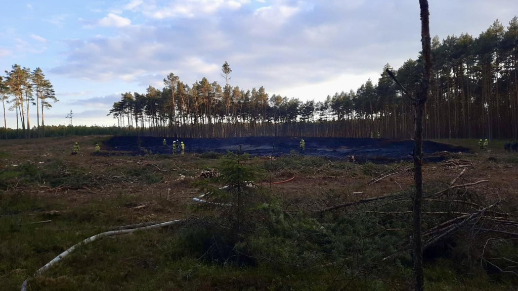 Pożar lasu. W akcji także śmigłowiec gaśniczy