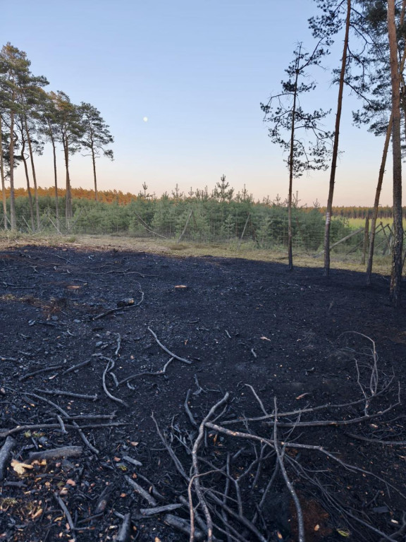 Pożar lasu. W akcji także śmigłowiec gaśniczy