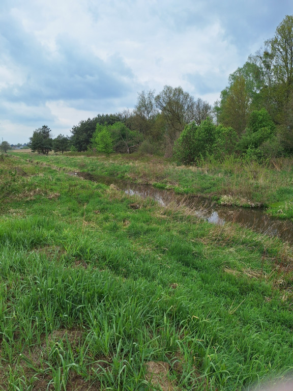 Spacer krajobrazowy nad Liswartą