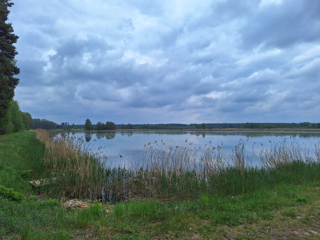 Spacer krajobrazowy nad Liswartą