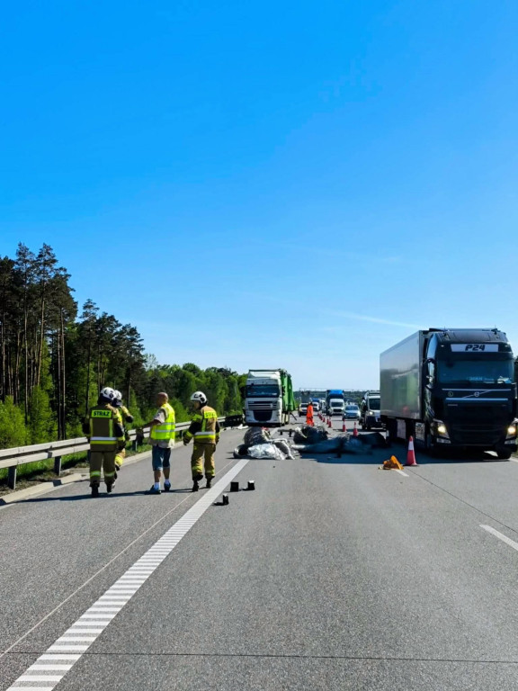 Zderzenie ciężarówek na A1. Nasi strażacy w akcji