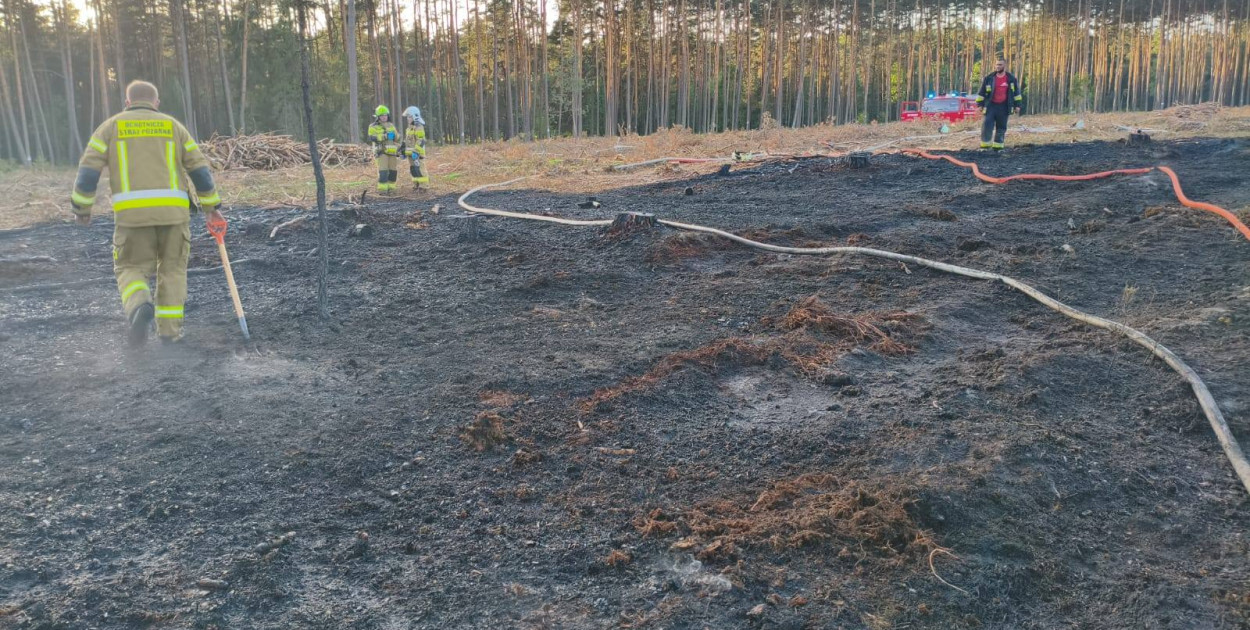 Pożar lasu, kilka zastępów strażackich w akcji