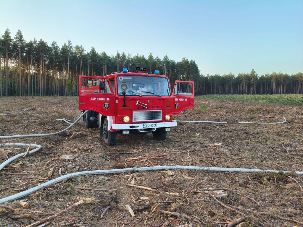 Pożar lasu, kilka zastępów strażackich w akcji