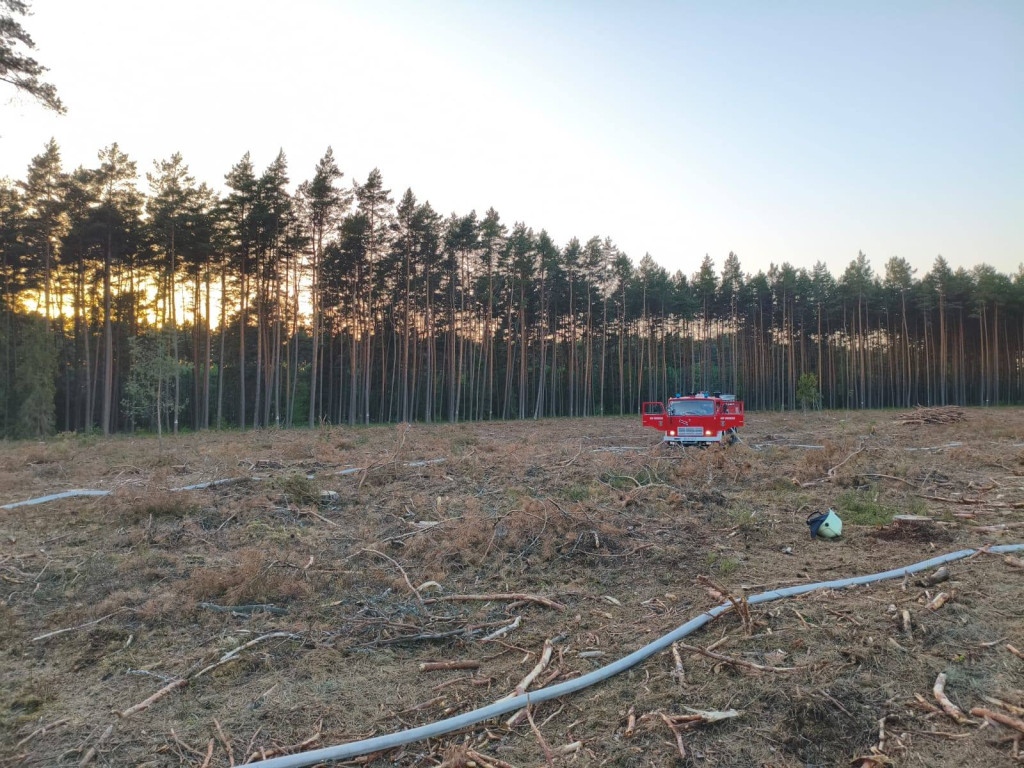 Pożar lasu, kilka zastępów strażackich w akcji