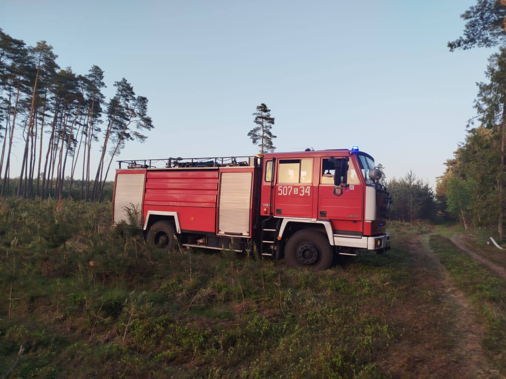 Pożar lasu, kilka zastępów strażackich w akcji