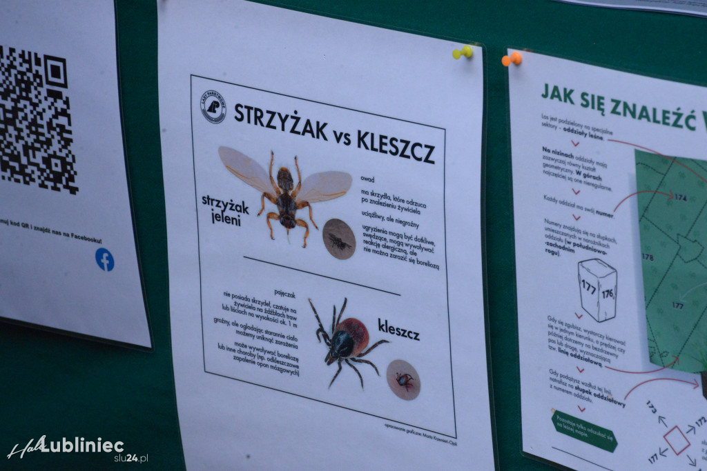 Ekologiczne Święto Kwitnącego Różanecznika